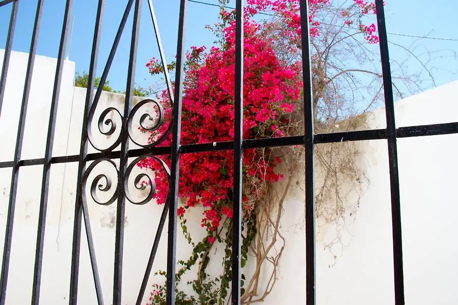 Hotel Mi Casa Antas